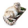 Kitty Lawn Real Grass Cat Window Perch 24x9 Inch California-5