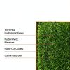 Kitty Lawn Real Grass Cat Window Perch 24x9 Inch California-4