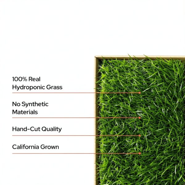 Kitty Lawn Real Grass Cat Window Perch 24x9 Inch California-4