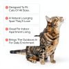Kitty Lawn Real Grass Cat Window Perch 24x9 Inch California-3