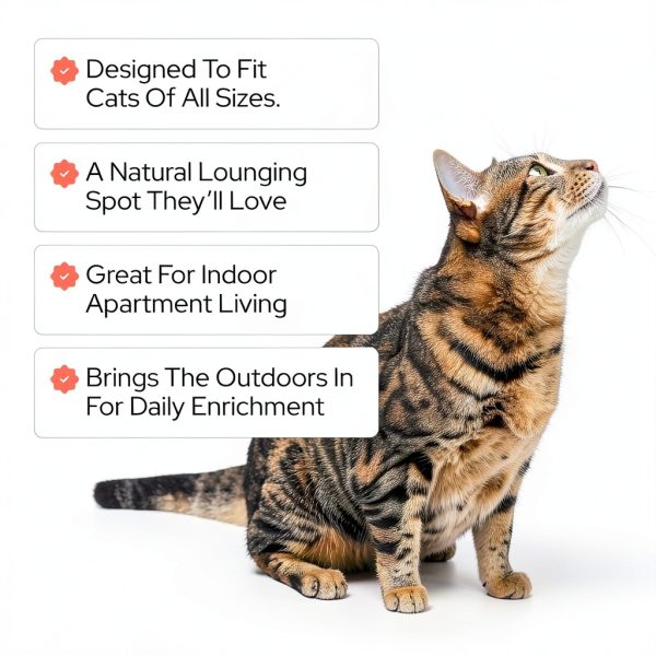 Kitty Lawn Real Grass Cat Window Perch 24x9 Inch California-3