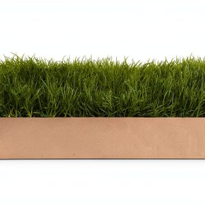 Kitty Lawn Real Grass Cat Window Perch 24x9 Inch California-0