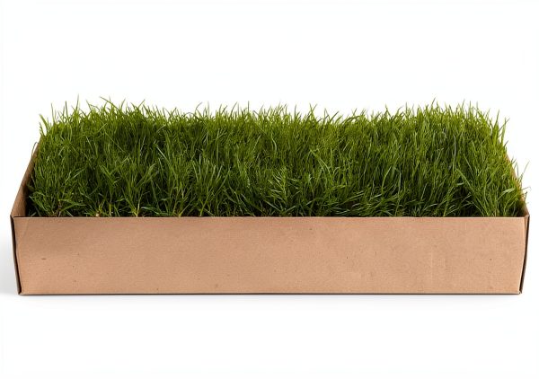 Kitty Lawn Real Grass Cat Window Perch 24x9 Inch California-0