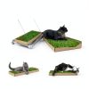 Kitty Lawn Real Grass Cat Window Perch 24x9 Inch California-7
