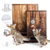 4 Pieces Cat Window Perch Suction Cup Powerful Window Bed Seat Replacement Suction Cup Clear PVC Sucker Pads for Cat Hammocks/Window Seat/Perch-3