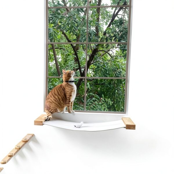Cat Wall Furniture FUKUMARU 34x13 Rubberwood Hammock Shelf-4