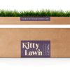 Kitty Lawn Real Grass Cat Window Perch 24x9 Inch California-1