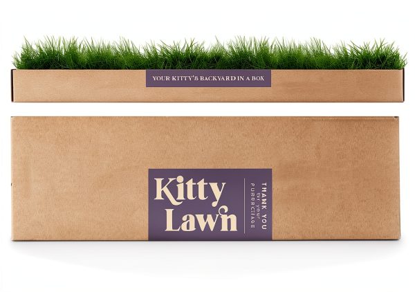 Kitty Lawn Real Grass Cat Window Perch 24x9 Inch California-1