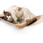 Cat Wall Furniture FUKUMARU 34x13 Rubberwood Hammock Shelf-0