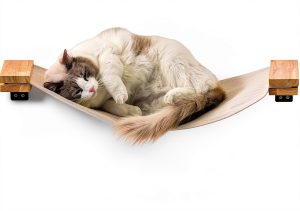 Cat Wall Furniture FUKUMARU 34x13 Rubberwood Hammock Shelf-0