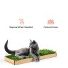 Kitty Lawn Real Grass Cat Window Perch 24x9 Inch California-6