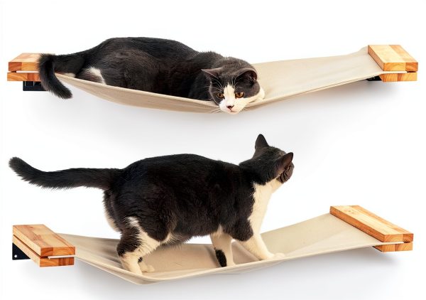Cat Wall Furniture FUKUMARU 34x13 Rubberwood Hammock Shelf-2