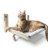 Foldable Cat Window Perch, Natural Wood, 16.5''×12'' Hammock, 35 lbs Weight Limit, Cat Window Hammock for Small Size Windows-5
