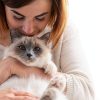 K&H Pet Products Kitty Sill Cat Window Perch for Large Cats, Orthopedic Window Hammock Bed Holds 40LBS, Washable Cover, Kitty Windowsill Bed Seat for Indoors - Cream Fleece, Unheated, 14 X 24in-7